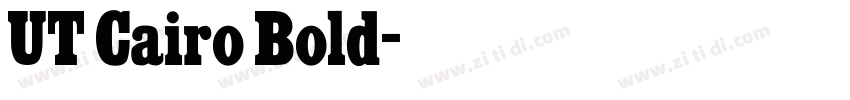UT Cairo Bold字体转换